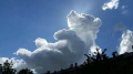 Изображение на облак показва прилика с мечка